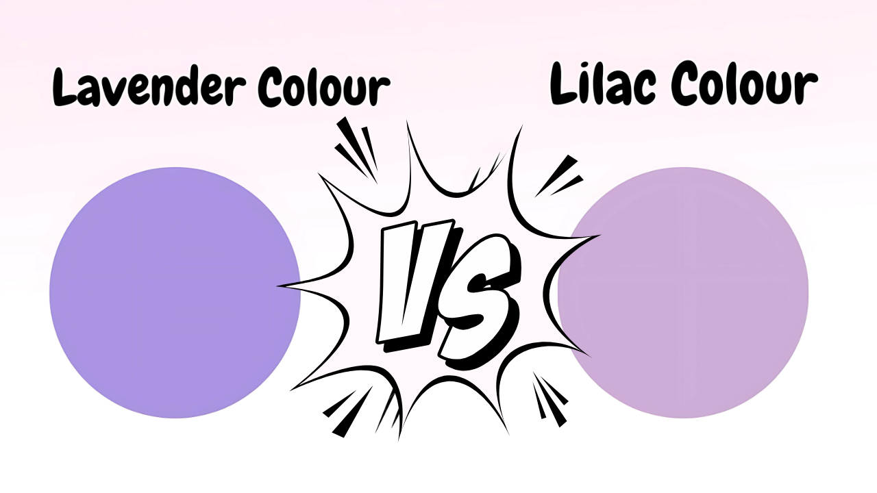 Lilac and Lavender