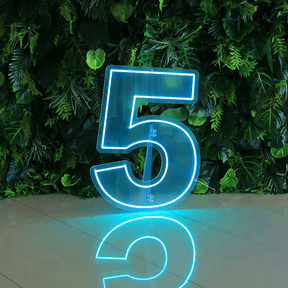 0 to 9 Number LED Neon Sign Wall Letters Light Party Decoration